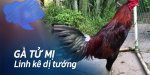 ga-tu-mi.jpg