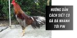 cach-siet-co-ga-da.jpg