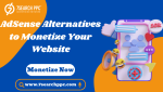 AdSense Alternatives (1).png